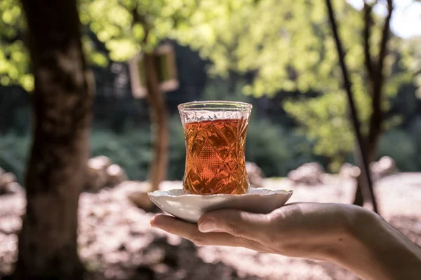 Východní Černý Čaj Skle Ženské Ruce Lese Koncept Východní Čaj — Stock fotografie