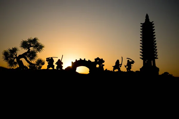 Combattente Con Una Sagoma Spada Ninja Cielo Samurai Cima Alla — Foto Stock