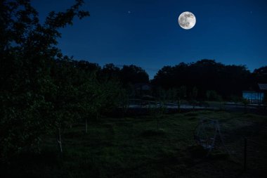 Dolunay gecesi ormanın içinden geçen Dağ Yolu. Koyu mavi gökyüzü ve ay manzarası