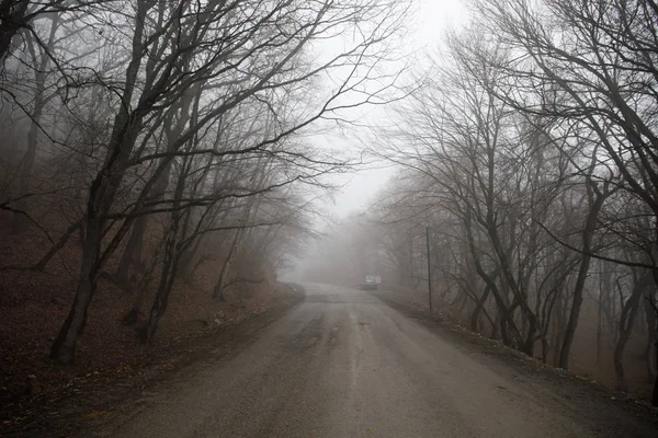 Paisaje Con Hermosa Niebla Bosque Colina Sendero Través Misterioso Bosque — Foto de Stock