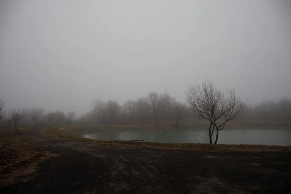 Paisaje Con Niebla Matutina Brumosa Lago Del Bosque Hermoso Lago —  Fotos de Stock
