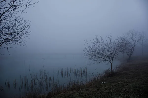 池作るロマンチックなシーンから蒸発霧や霧で湖の美しい橋の木 湖の水面に反映橋の景観が素晴らしい 霧の深い朝の湖の上の鉄橋 — ストック写真