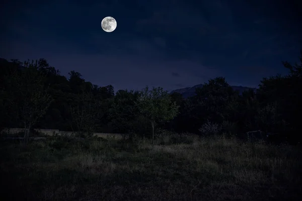 Horská Cesta Lesem Úplňku Scénická Noční Krajina Tmavě Modré Oblohy — Stock fotografie