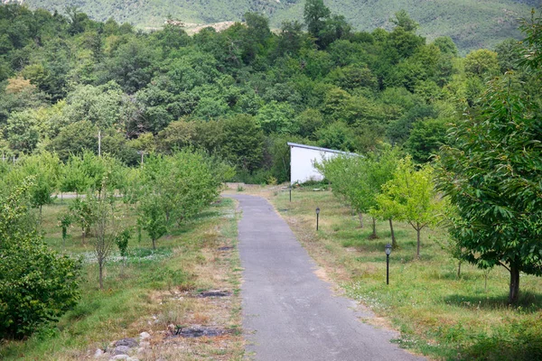 Mooi Landschap Van Bergen Bos Met Gebouwen Aan Zomer Azerbeidzjan — Stockfoto