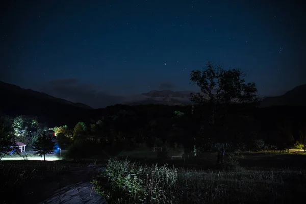 Ночной Пейзаж Звездными Ночными Горами Лесом Ночной Лес Зеленым Лугом — стоковое фото