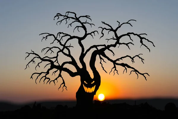 Silhouette Spaventoso Albero Halloween Con Volto Horror Sfondo Arancio Tramonto — Foto Stock