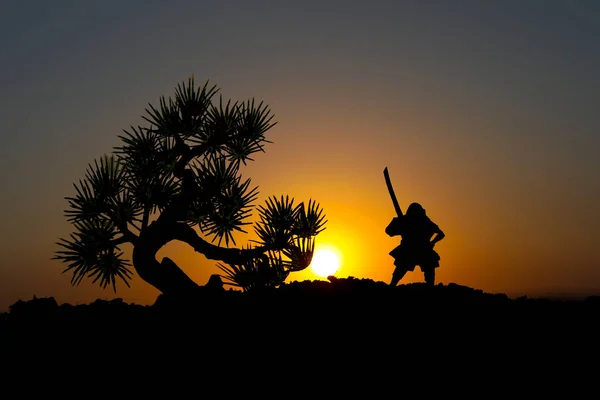 Kämpfer Mit Einem Schwert Silhouette Ein Himmel Ninja Samurai Auf — Stockfoto