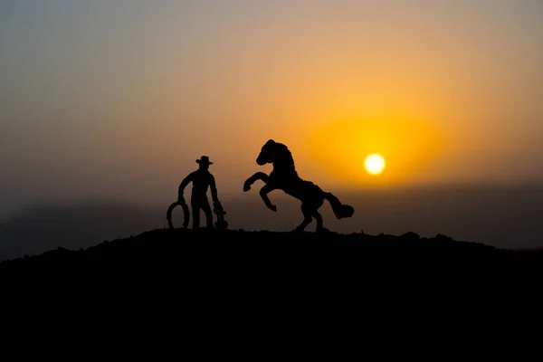 Conceito Cowboy Silhueta Cowboy Com Cavalo Pôr Sol Uma Silhueta — Fotografia de Stock