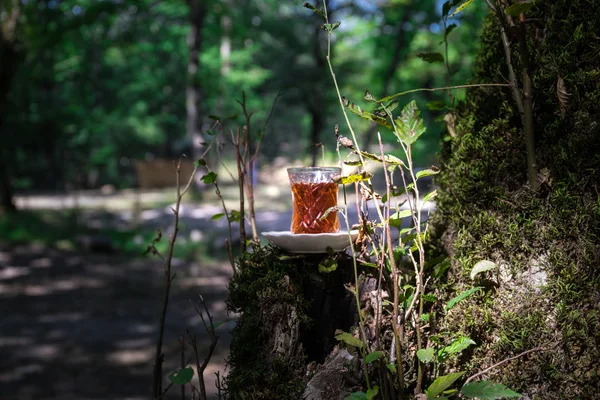 Schwarztee Glas Waldrand Eastern Tea Konzept Armudu Traditionelle Tasse Hintergrund — Stockfoto