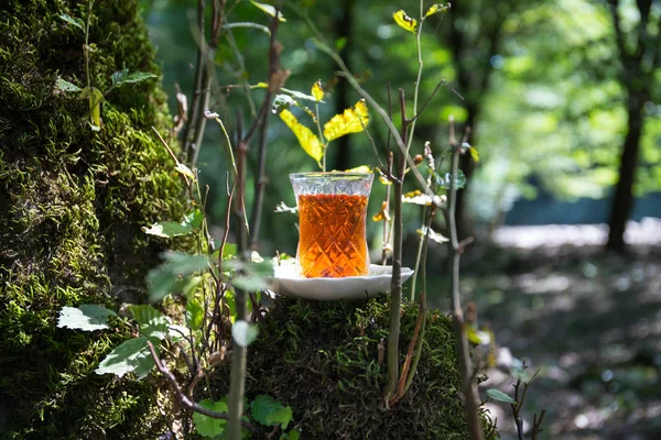 在森林里的玻璃杯里的东方红茶 东方茶的概念 Armudu 传统杯 绿色自然背景 选择性聚焦 — 图库照片