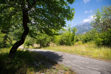 Gün batımı veya orman ortamındaki gündoğumu. Doğal güneş ışığı ile güneş güneş ve güneş ışınları yaz ormandaki orman ağaçları ile. Güzel doğal görünümü. Doğa, Azerbaycan