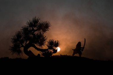 Savaşçı bir kılıç siluet bir gökyüzü ninja ile. Samuray ağaç günbatımı arka plan üzerinde dağın zirvesinde. Seçici odak