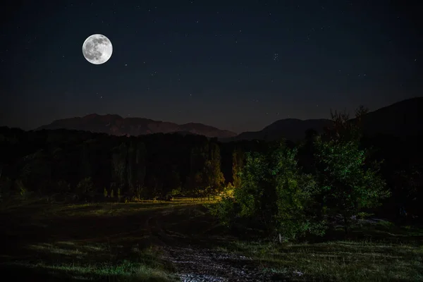 満月の夜に森の中を山道 月と暗い青空の風景夜の風景 — ストック写真