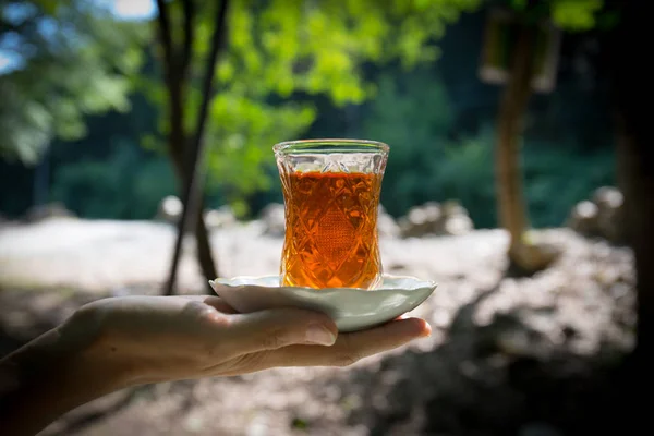 Východní Černý Čaj Skle Ženské Ruce Lese Koncept Východní Čaj — Stock fotografie