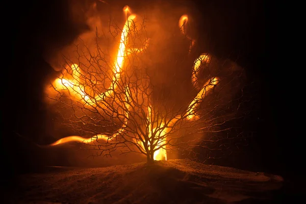 Silhouette of scary Halloween tree on dark foggy toned fire. Scary horror tree Halloween concept. Selective focus