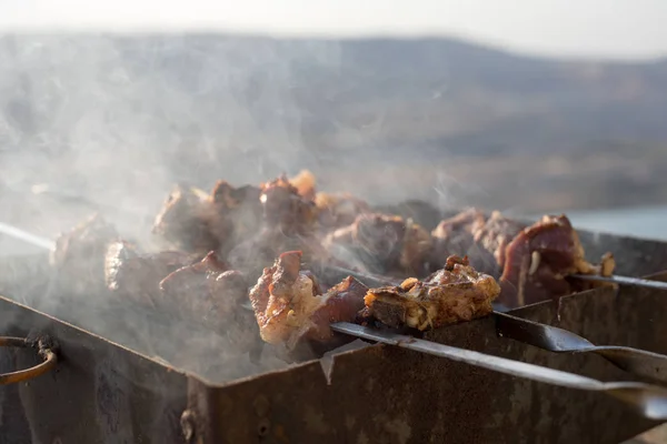 Préparation Shish Kebab Bbq Plein Air Ferme Concentration Sélective — Photo