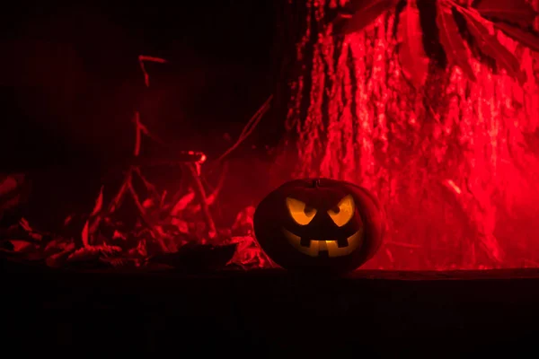 Kürbisbrände Wald Der Nacht Halloween Hintergrund Gruseliger Jack Laterne Lächelnd — Stockfoto