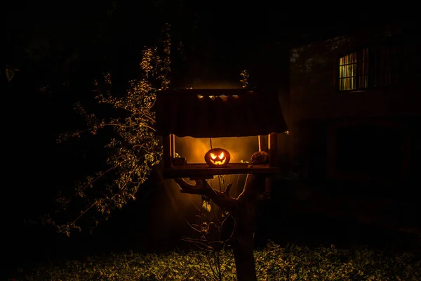 Tök Égő Erdőben Éjszaka Halloween Háttér Ijesztő Jack Lantern Mosolyogva — Stock Fotó