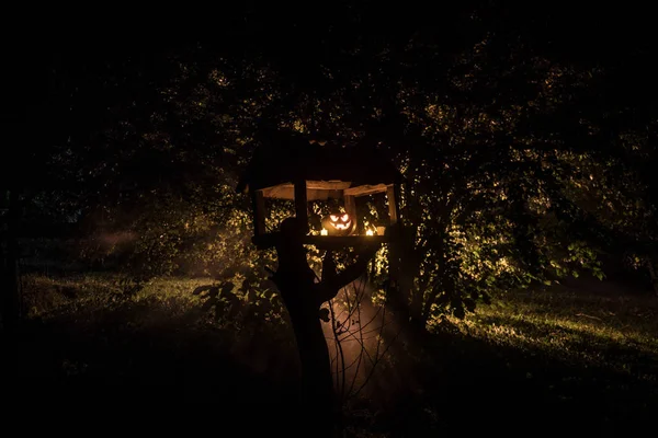 Zucca Che Brucia Nella Foresta Notte Sfondo Halloween Spaventoso Jack — Foto Stock