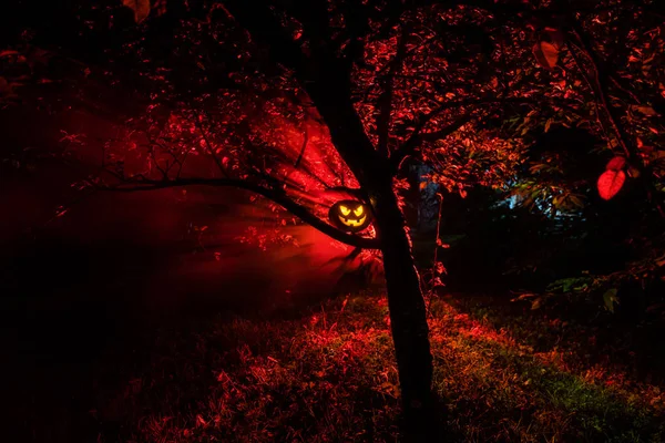 Calabaza Ardiendo Bosque Por Noche Fondo Halloween Scary Jack Lantern —  Fotos de Stock