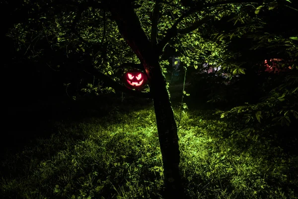 Kürbisbrände Wald Der Nacht Halloween Hintergrund Gruseliger Jack Laterne Lächelnd — Stockfoto
