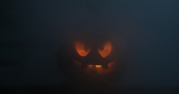 Queima Abóbora Floresta Noite Fundo Halloween Assustador Jack Lanterna Sorrindo — Vídeo de Stock