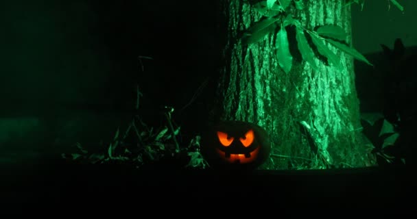 Pompoen Branden Forest Night Halloween Achtergrond Eng Jack Lantern Glimlachen — Stockvideo