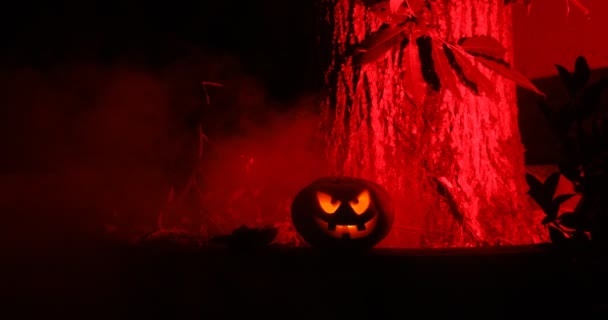 かぼちゃハロウィン背景夜の森で燃焼します 怖いジャック ランタンの笑顔と輝くかぼちゃ暗いトーンの霧の背景 選択と集中 — ストック動画