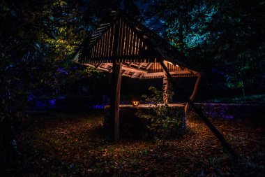 Cadılar Bayramı Balkabağı ile ormanda de geceleri terk edilmiş. Korku kavramı
