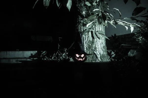 かぼちゃハロウィン背景夜の森で燃焼します 怖いジャック ランタンの笑顔と輝くかぼちゃ暗いトーンの霧の背景 選択と集中 — ストック写真