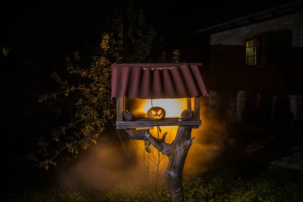 Pumpkin Burning Forest Night Halloween Background Scary Jack Lantern Smiling — Stock Photo, Image