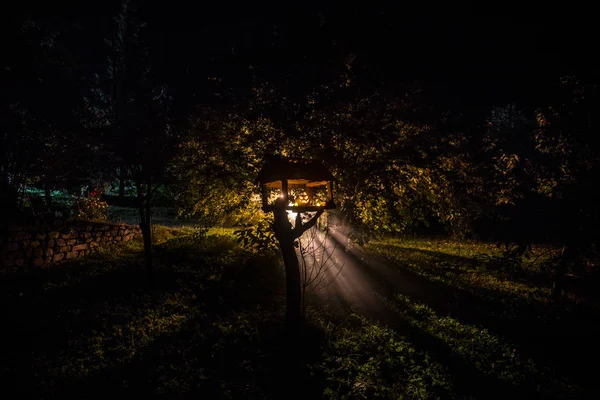 Гарбузове Горіння Лісі Вночі Хеллоуїн Фон Страшний Джек Ліхтар Посміхається — стокове фото