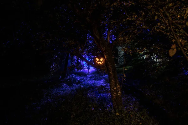 Calabaza Ardiendo Bosque Por Noche Fondo Halloween Scary Jack Lantern —  Fotos de Stock