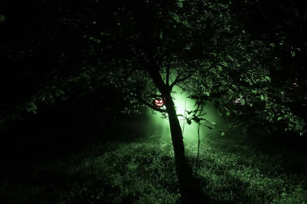 Kürbisbrände Wald Der Nacht Halloween Hintergrund Gruseliger Jack Laterne Lächelnd — Stockfoto