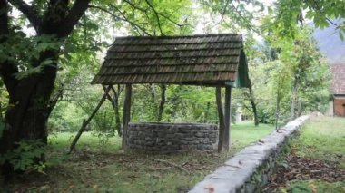 Ormanda de terk etti. Uzun saçlı çok kötü bir kız bekliyor. Cadılar Bayramı kavramı. Kaymak vurdu