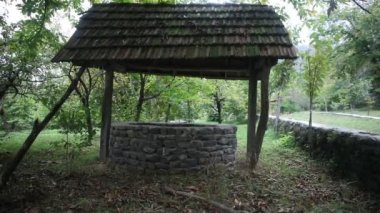 Ormanda de terk etti. Uzun saçlı çok kötü bir kız bekliyor. Cadılar Bayramı kavramı. Kaymak vurdu