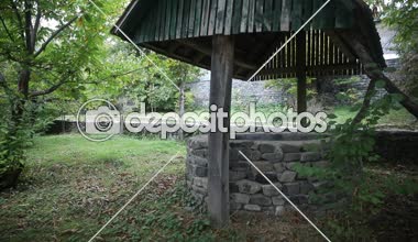 Ormanda de terk etti. Uzun saçlı çok kötü bir kız bekliyor. Cadılar Bayramı kavramı. Kaymak vurdu