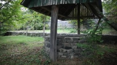 Ormanda de terk etti. Uzun saçlı çok kötü bir kız bekliyor. Cadılar Bayramı kavramı. Kaymak vurdu