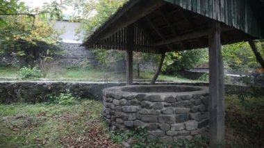 Ormanda de terk etti. Uzun saçlı çok kötü bir kız bekliyor. Cadılar Bayramı kavramı. Kaymak vurdu