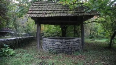 Ormanda de terk etti. Uzun saçlı çok kötü bir kız bekliyor. Cadılar Bayramı kavramı. Kaymak vurdu