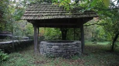 Ormanda de terk etti. Uzun saçlı çok kötü bir kız bekliyor. Cadılar Bayramı kavramı. Kaymak vurdu