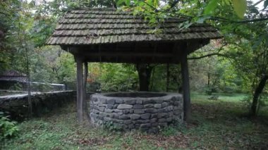 Ormanda de terk etti. Uzun saçlı çok kötü bir kız bekliyor. Cadılar Bayramı kavramı. Kaymak vurdu