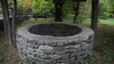 Ormanda de terk etti. Uzun saçlı çok kötü bir kız bekliyor. Cadılar Bayramı kavramı. Kaymak vurdu