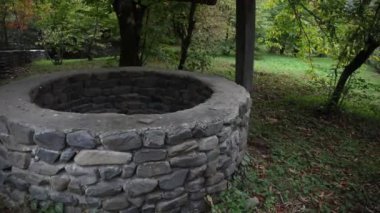 Ormanda de terk etti. Uzun saçlı çok kötü bir kız bekliyor. Cadılar Bayramı kavramı. Kaymak vurdu