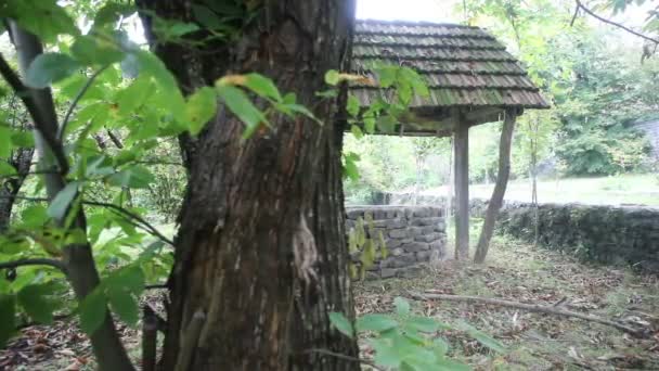 Verlassene Brunnen Wald Warten Auf Ein Schreckliches Mädchen Mit Langen — Stockvideo