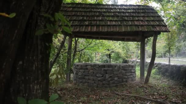 Abandonado Bien Bosque Esperando Una Chica Terrible Con Pelo Largo — Vídeo de stock