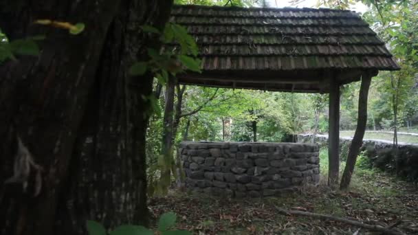 Verlassene Brunnen Wald Warten Auf Ein Schreckliches Mädchen Mit Langen — Stockvideo