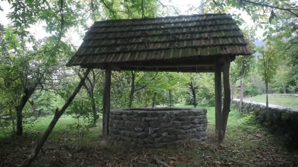 Verlassene Brunnen Wald Warten Auf Ein Schreckliches Mädchen Mit Langen — Stockvideo