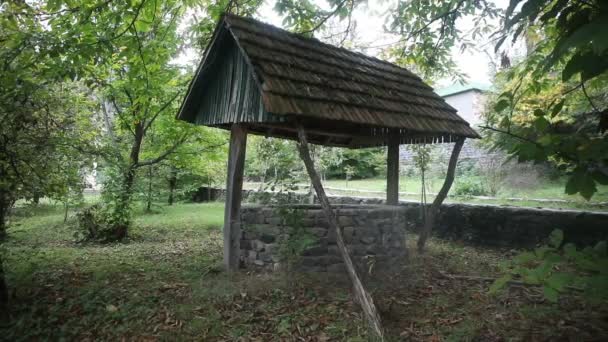 Abandonou Bem Floresta Espera Uma Rapariga Horrível Com Cabelo Comprido — Vídeo de Stock