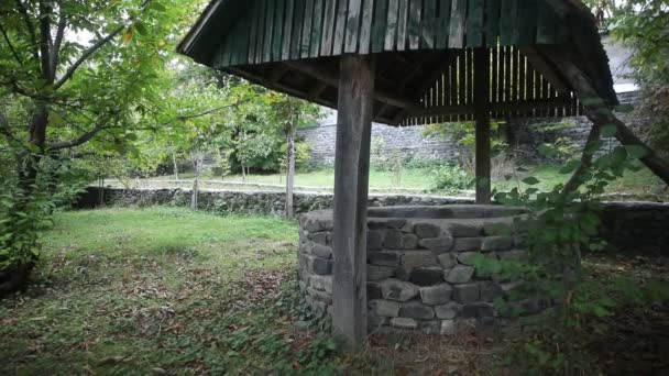 Abandoned Well Forest Waiting Terrible Girl Long Hair Halloween Concept — Stock Video